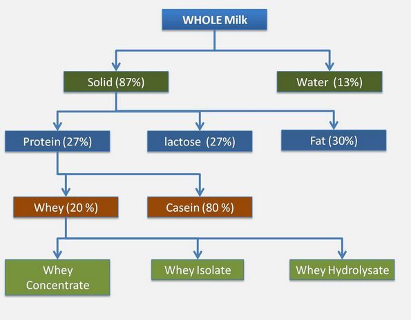 protein sources