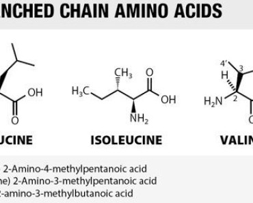 branched chain amino acids