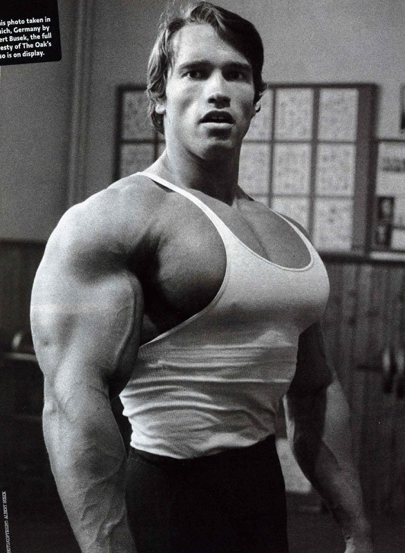 Arnold Schwarzenegger Picture