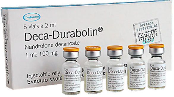 Deca Durabolin Benefits
